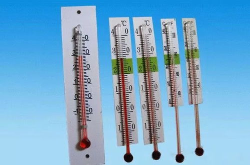 每日一分類(lèi) 它們是什么垃圾