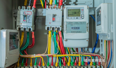 廣州卡爾蔡司工業(yè)園區(qū)能耗監(jiān)測(cè)系統(tǒng)在電表中的應(yīng)用案例