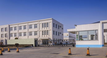 二溴苯市場動態(tài)與高級催乳師職業(yè)解析